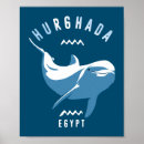 Search for diving dolphin posters Underwater