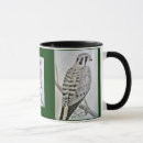 Search for american kestrel mugs Falcon