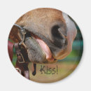 Search for tongue magnets Horse