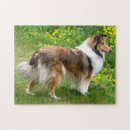 Search for shetland sheepdog puzzles Animal