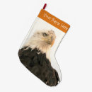 Search for eagle sky Bird of prey