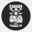 Search for funny canadian stickers Let's go brandon
