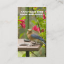 Search for bluebird business cards Birds