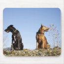Search for concentration mousepads Outdoors