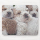 Search for greeting cards mousepads Dog