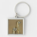 Search for botswana key rings Nature