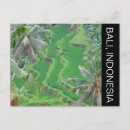 Search for rice terraces postcards Ubud