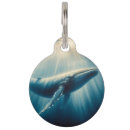 Search for mariners pet supplies Coastal