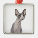 Search for sphynx cat christmas tree decorations Animal