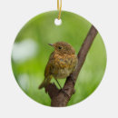 Search for branch christmas tree decorations Bird