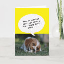 Search for funny animal photo postcards Joke