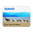 Search for geese magnets Canada goose