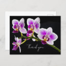 Search for white orchid postcards Thank you