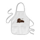 Search for walrus aprons Mammal