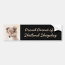 Search for merle bumper stickers Dog