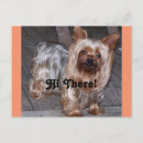 Search for yorkshire postcards Dog
