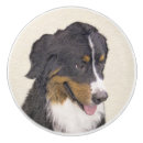 Search for dogs knobs and pulls Cute