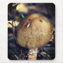 Search for fungi mousepads Nature