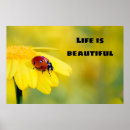 Search for sunflower quote posters Nature