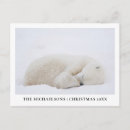 Search for manitoba cards Arctic