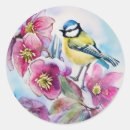Search for titmouse stickers Bird