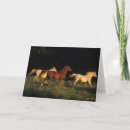 Search for evening light cards Breed