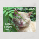 Search for beautiful quote postcards Beauty