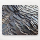 Search for wild turkey electronics Nature