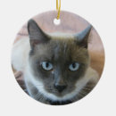 Search for siamese cat christmas tree decorations Blue eyes