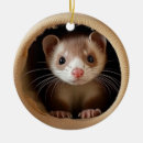Search for ferret pets christmas tree decorations Ferrets