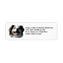 Search for dog breeder return address labels Dogs
