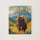 Search for yellowstone puzzles Bison