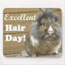 Search for excellence electronics Funny