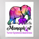 Search for elephant posters Zebra