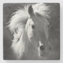 Search for horse coasters White