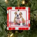 Search for english bulldog christmas tree decorations Puppy