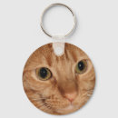 Search for close key rings Cat