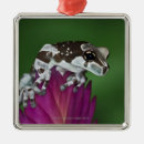 Search for wild one christmas tree decorations Animal