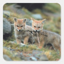 Search for fox family stickers Animal