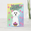 Search for bichon frise birthday cards Pets