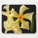 Search for jasmin mousepads Green
