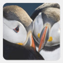 Search for seabird stickers Animal