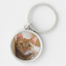 Search for couch key rings Cat
