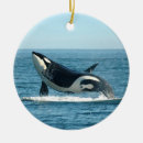 Search for orca christmas tree decorations Dolphin