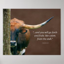 Search for texas longhorn posters Cow
