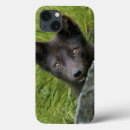 Search for lagopus electronics Wildlife