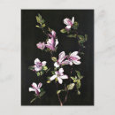 Search for botanical artwork postcards Flower