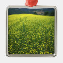 Search for tuscany christmas tree decorations Nature