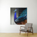 Search for peacock tapestries Animal
