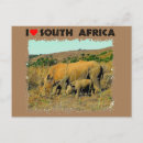 Search for south africa postcards African